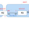 JUNOS_OSPF_LSA