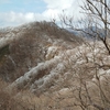 塔ノ岳で綺麗な霧氷