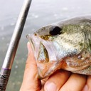 バス釣り.COM