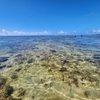 🏖石垣島にGO❗その⑧　米原ビーチで磯遊び🐠