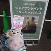 #シャンシャン#上野動物園、のたび