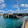 クラマ根緑地のタイドプール（東京都三宅島）