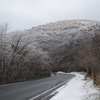 猟師山・合頭山 2011.12.11