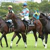 ２４日に帰厩。次走は来月１７日の東京・ダ１６００ｍへの出走を予定しています。☆ボンディマンシュ