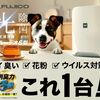 2024年2月21日（水）「ありのまま過ぎる怠惰な一日」