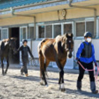 basashiMのFukushima