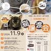 北海道最大級の猫譲渡会に行ってみたHokkaido's largest cat transfer meeting