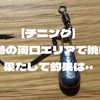 【チニング】初夏の伊勢の河口エリアで挑戦。果たして釣果は・・