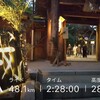 🎍新年明けましておめでとうございます🎍