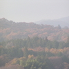 2011.11.30.水曜、晴れ、