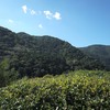 京都　嵐山　竹林の小径　大河内山荘庭園－１６　滴水庵