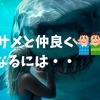 サメって本当は○○！意外な生態　サメ　怖い　危険生物　サメ事故　サメ死亡事故　沖縄　宮古島　アメリカ　石垣島　離島　世界のサメ　シャークアタック　サメは実は怖くない