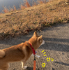 規則正しく