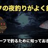 サーフの夜釣りは釣れる？ナイトサーフで釣るために知っておきたいこと