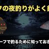 サーフの夜釣りは釣れる？ナイトサーフで釣るために知っておきたいこと