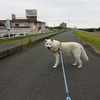 リッキー１２年振りに旧友に会う