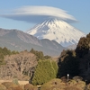 かわいい富士山