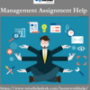 Opt for Our UK Management Assignment Help