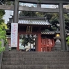 金王桜　ｉｎ　金王八幡宮