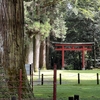 スサノオが祀られた山奥の神社