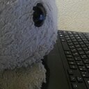 ヤスト先生とぐれちの遊び場