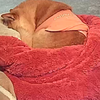 今日も感謝、だよ