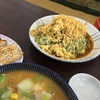 でいご食堂 美味しい〜海人御用達