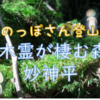 （のっぽさん登山）木霊が棲む森、明神平