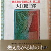 揺れ動く＜ヴァシレーション＞　燃え上がる緑の木　第二部　大江健三郎