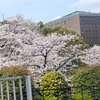 2025.04.08(Tue)