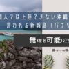 個人では上陸できない沖縄の秘島と言われる新城島（パナリ島）