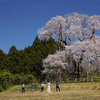 福島桜番付「大関」の桜2本––矢祭町・戸津辺の桜と川俣町・秋山の駒桜に会ってきました【福島の桜2022】