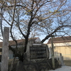 菅生神社 慰霊碑に桜紅葉