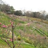 小さな発見★大阪府立錦織公園・梅林や大型滑り台もありおすすめです。