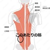 久々のギックリ腰モドキ・・・原因不明