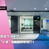 数字で知るウェイブ。会社の“いま”をまるっと紹介！