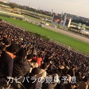 カピバラくんの競馬予想（停止）