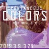 2019年3月9日 感じる芸術祭 真鶴まちなーれ開幕！