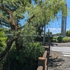 円空の滝