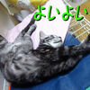響・・目測・・してる？？