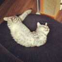 意識高い系をちゃんと馬鹿にしたいから学ぶ！