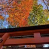 １２月稲荷山参拝その１０