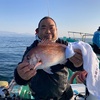 桜は満開　魚は気まぐれ