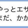 0803 / やたら、詩的