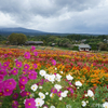 栃木県那須へ長距離日帰りドライブ（日帰り小旅行）