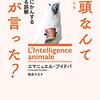 講習会、毎日開催中。