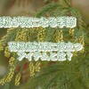 花粉が気になる季節　2022年花粉対策に役立つアイテムとは？