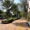坂道探訪 小石川の坂道(2)播磨坂・吹上坂・三百坂
