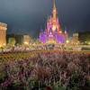 癒しの国の世界Aliceがお届けする　週末の癒しの風景