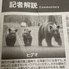 目は料理の写真からヒグマへと行き着いた